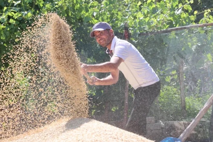 Tarımda Antalya’ya Destek, Kazanç Getirdi